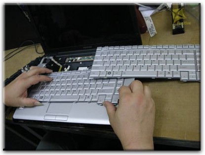 Ремонт клавиатуры на ноутбуке Toshiba в Минске